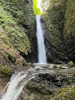 妙蓮の滝