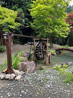 水車(メダカもいるよ)